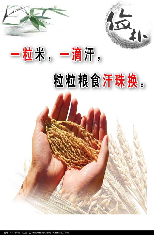 佐治亚州驾驶证真实样板